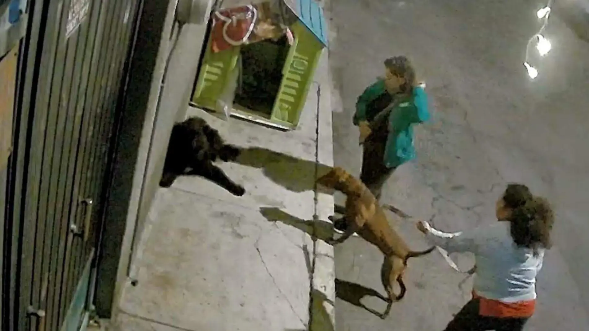 perros iztapalapa CAPTURA